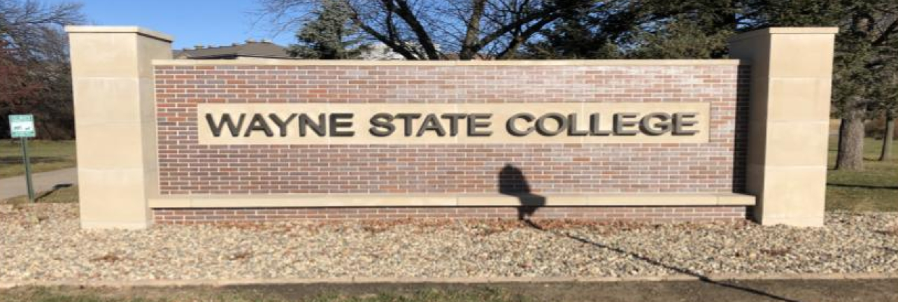 Wayne State